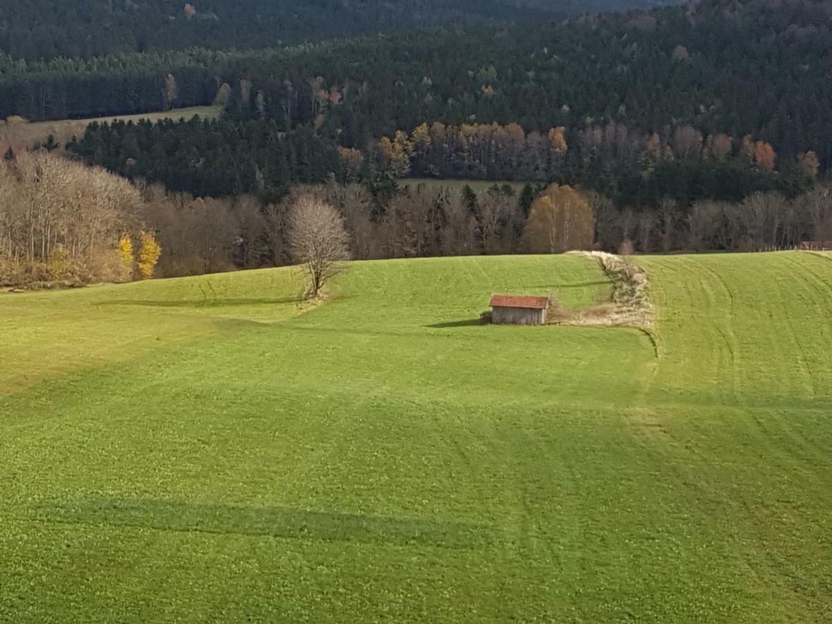 Gut Steinhuegel Appartement Bischofsmais Buitenkant foto